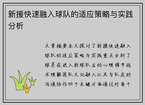 新援快速融入球队的适应策略与实践分析